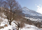 imgpreview-name-mising