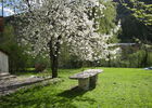 imgpreview-name-mising