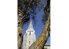 imgpreview-name-mising