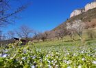 Le Mas Albizia - Environnement du Mas - Vue Causse Sud