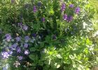 imgpreview-name-mising