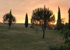imgpreview-name-mising