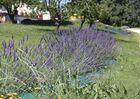 imgpreview-name-mising