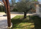 imgpreview-name-mising