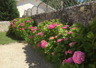 imgpreview-name-mising