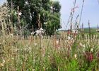 imgpreview-name-mising