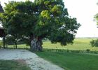 imgpreview-name-mising