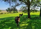 imgpreview-name-mising