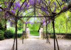 imgpreview-name-mising