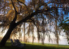 imgpreview-name-mising
