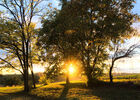 imgpreview-name-mising