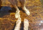 imgpreview-name-mising