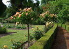 jardin de clivoy3