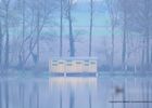 etang-neuf-juvigne-53-2