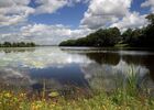 etang-neuf-juvigne-53-3