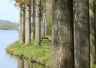 etang-neuf-juvigne-53-8