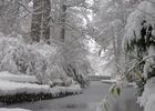 En Hiver