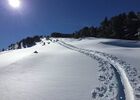 rando ski