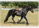 bouan