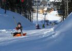 luge
