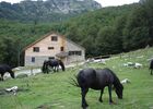 imgpreview-name-mising