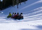 luge snake