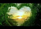 Coeur Nature