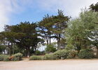 dscn5325-254213