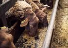 ferme-d-emilie-basse-def-46-sur-88-petit-format-251212