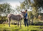 ferme-d-emilie-basse-def-15-sur-88-251198