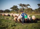 ferme-d-emilie-basse-def-19-sur-88-251192