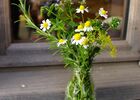 img-0132-petit-format-251228