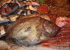 img-1884-689