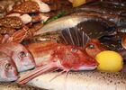 img-1885-690