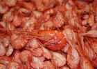 img-1899-693