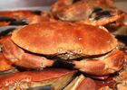img-1901-694