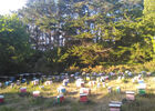 imgpreview-name-mising