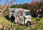 tuktuk-cerisier-259146