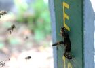 imgpreview-name-mising