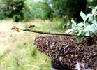 imgpreview-name-mising