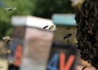 imgpreview-name-mising