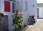 dsc00186-129376