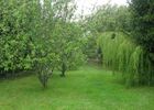 jardin-1-719