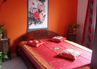 Saint-Alexandre (Le) - Mandarine
