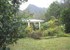 Orangeraie (L')