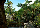 Lodge Roche Tamarin & Spa