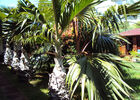Chez Madame Queland