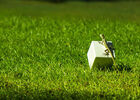 Golf Club de Bourbon