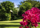 Golf Club de Bourbon