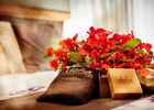 Iloha Seaview Hotel